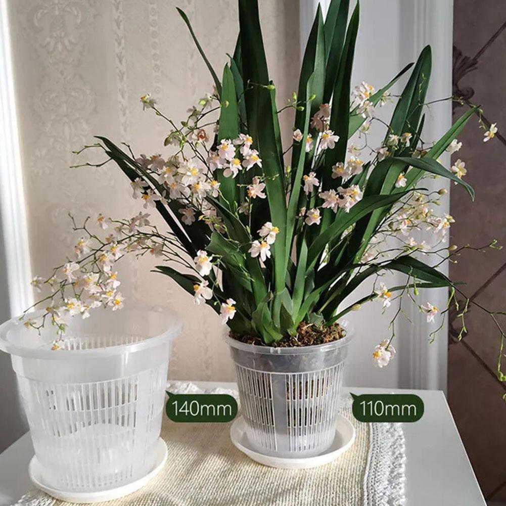 Doniczka siatkowa z kontrolą k – Aloe Vera Pot recenzja i cena